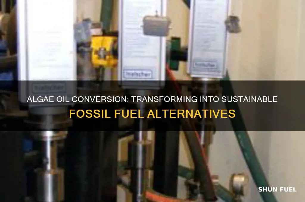what fossil fuels can algae oil be converted into