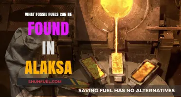 Alaska's Hidden Treasures: Exploring the Fossil Fuels Beneath Its Surface