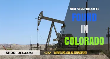 Colorado's Fossil Fuel Reserves: Coal, Oil, and Natural Gas Explained