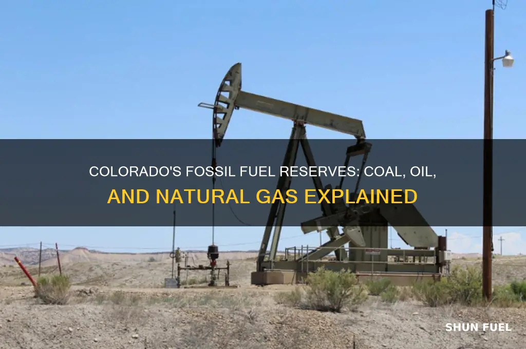 what fossil fuels can be found in colorado