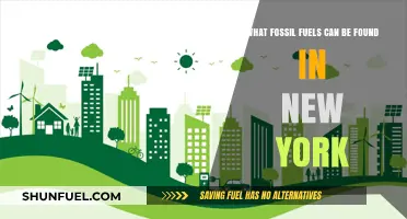 Exploring New York's Hidden Fossil Fuel Reserves: Types and Locations