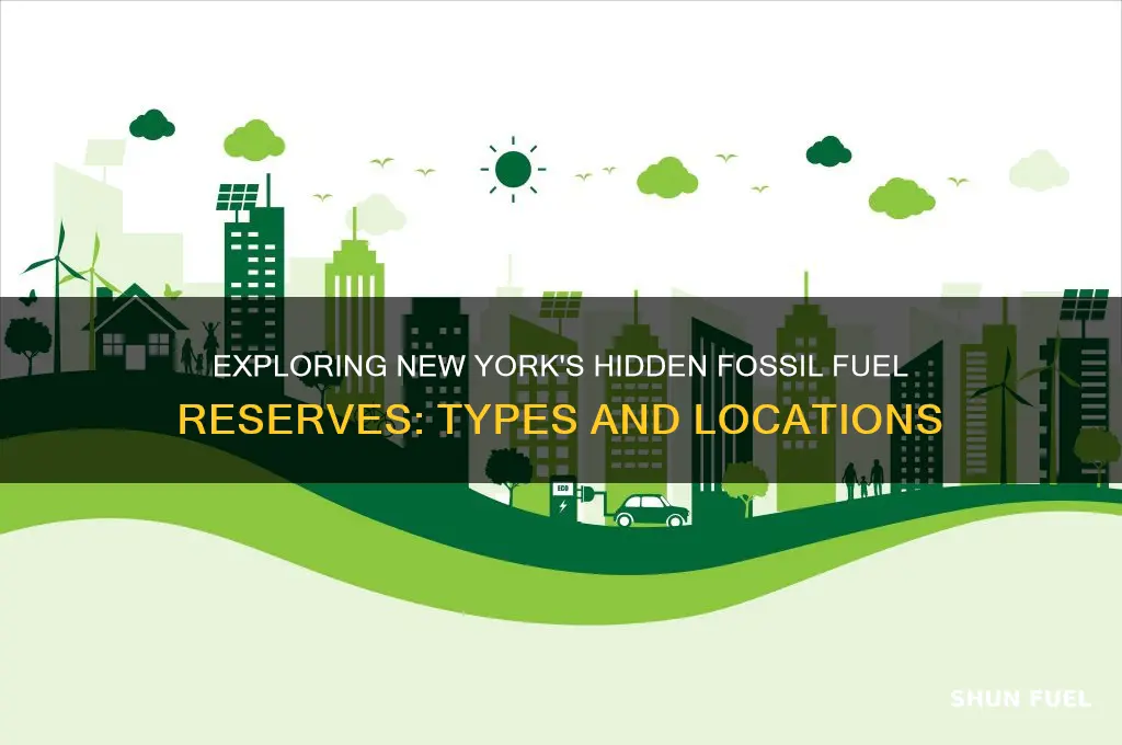 what fossil fuels can be found in new york