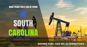 Exploring South Carolina's Hidden Fossil Fuel Reserves: Types and Locations