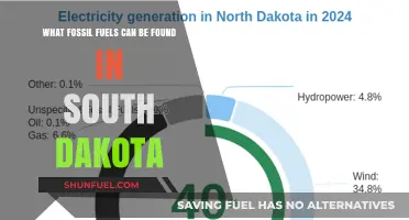 South Dakota's Fossil Fuel Reserves: Coal, Oil, and Natural Gas Explained
