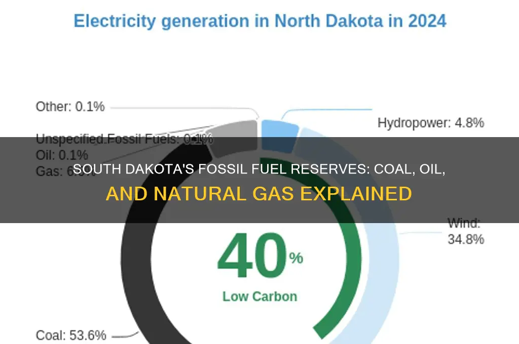 what fossil fuels can be found in south dakota
