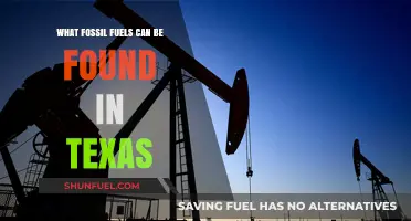 Texas Fossil Fuels: Uncovering the State's Oil, Gas, and Coal Reserves