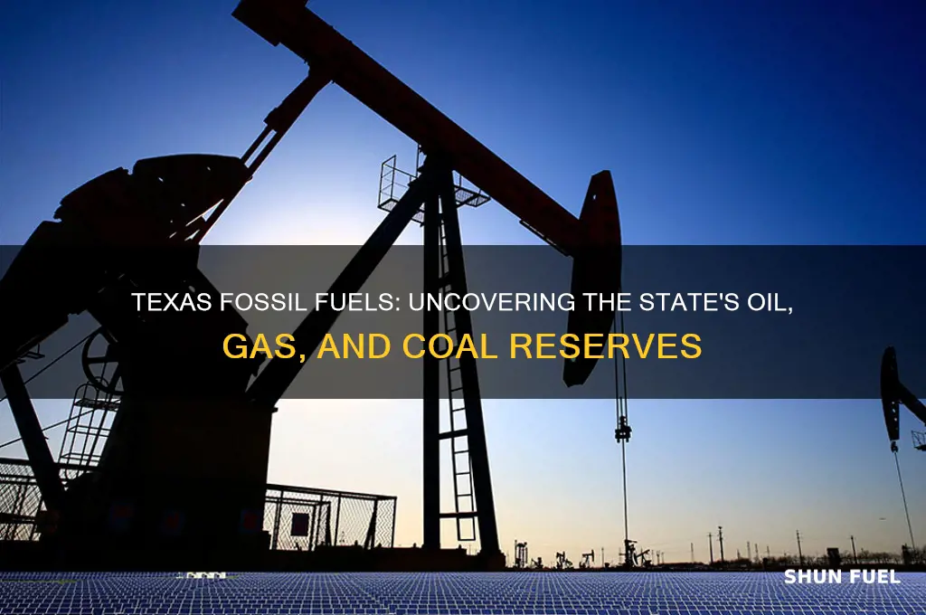 what fossil fuels can be found in texas