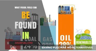 Exploring Earth's Hidden Treasures: Where Fossil Fuels Are Found