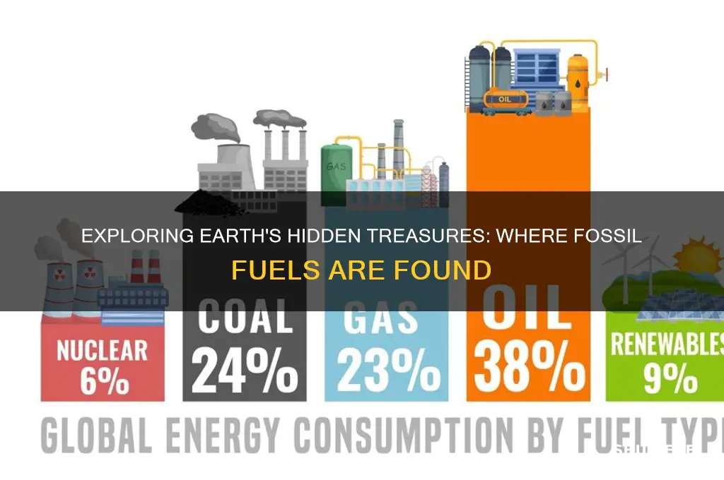 what fossil fuels can be found in