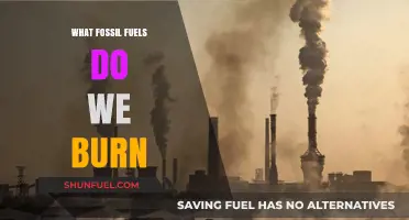 What Fossil Fuels Do We Burn: Types, Uses, and Impact