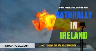 Ireland's Natural Fossil Fuel Reserves: Types and Significance Explained