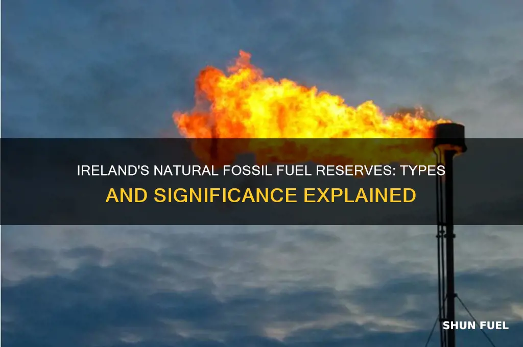 what fossil fuels do we have naturally in ireland