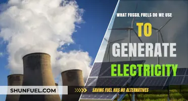 Powering the Grid: Fossil Fuels Used for Electricity Generation