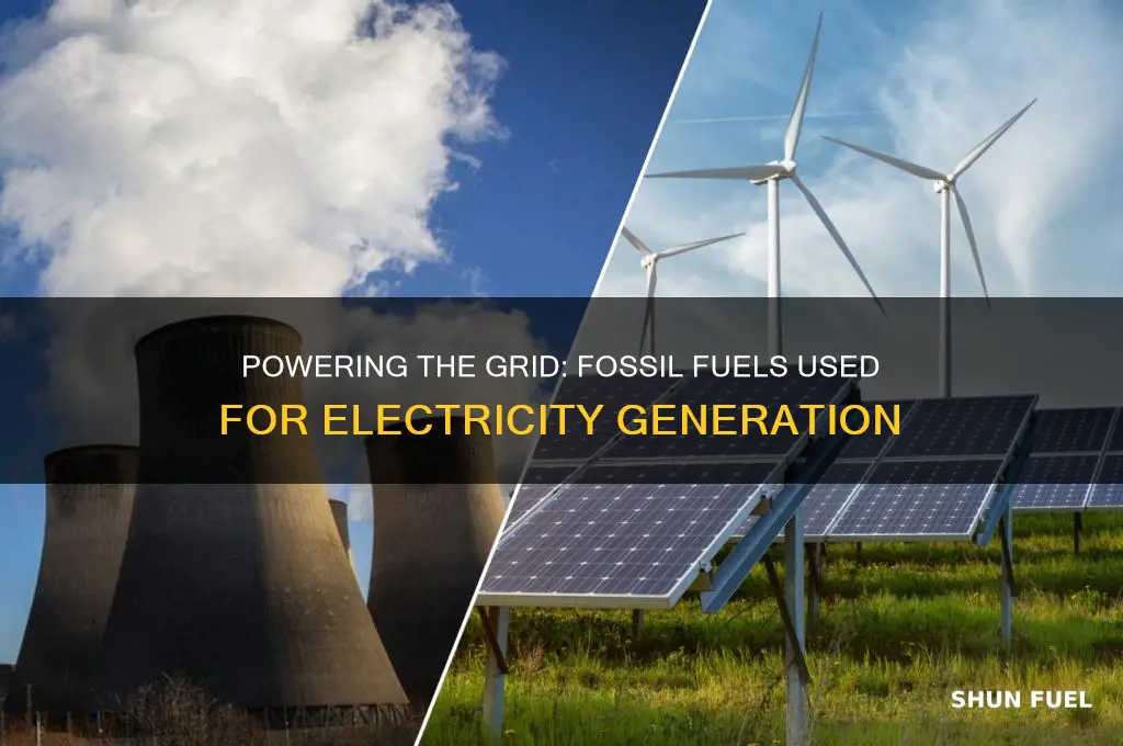 what fossil fuels do we use to generate electricity