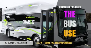 What Fossil Fuels Power Buses: Diesel, Gasoline, or Alternatives?