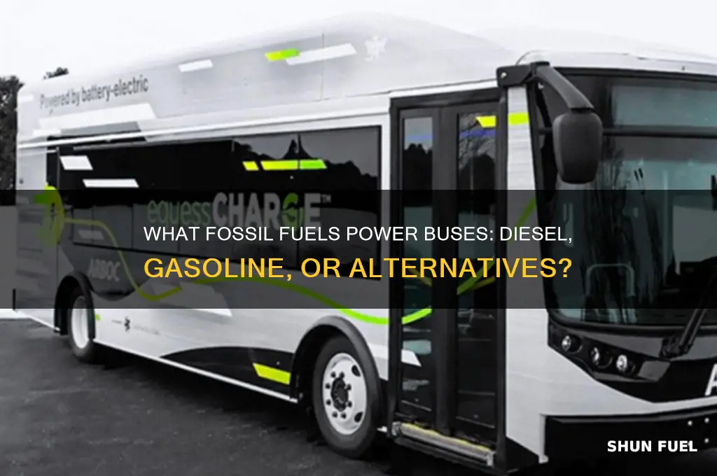 what fossil fuels does the bus use