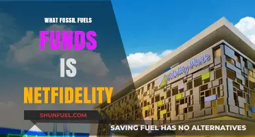 How Fossil Fuels Fund NetFidelity's Growth: Uncovering the Financial Ties