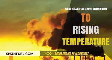 Fossil Fuels' Role in Driving Global Temperature Rise Explained