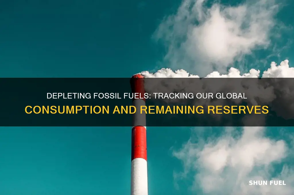 what fossil fuels have we used up