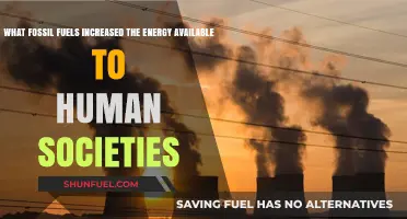 How Fossil Fuels Revolutionized Energy Availability for Human Societies