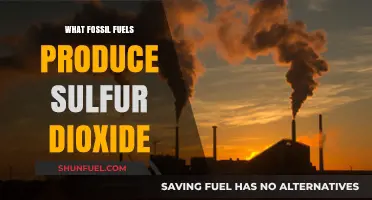 Sulfur Dioxide Emissions: Which Fossil Fuels Are the Culprits?