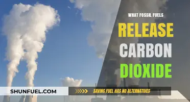 Fossil Fuels and Their Role in Releasing Carbon Dioxide