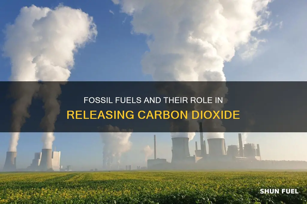 what fossil fuels release carbon dioxide