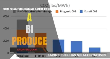 Fossil Fuels' Carbon Footprint: Unveiling CO2 Emissions from Combustion