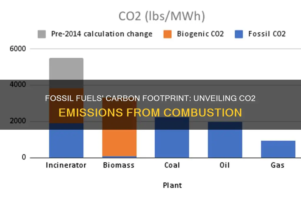 what fossil fuels releases carbon dioxide as a bi produce