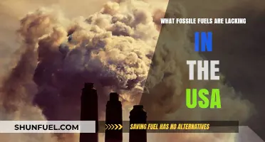 America's Energy Gap: Which Fossil Fuels Are Running Low in the USA?