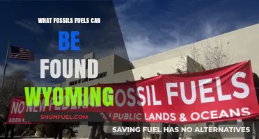 Wyoming's Fossil Fuel Treasures: Coal, Oil, and Natural Gas Reserves