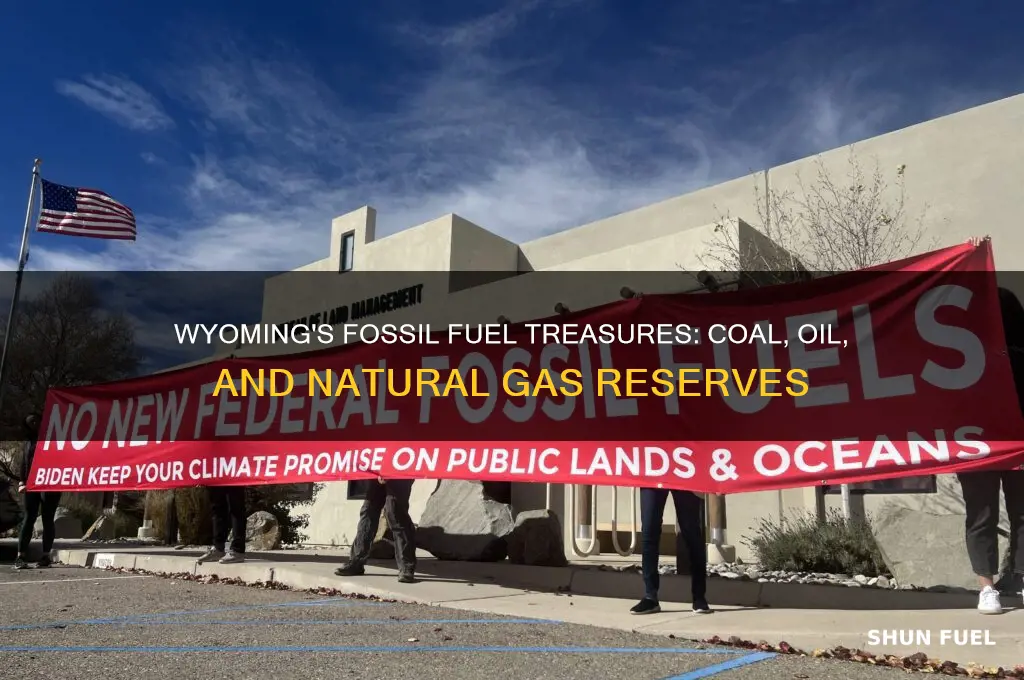what fossils fuels can be found wyoming