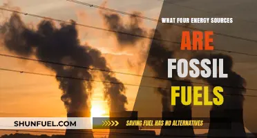 Fossil Fuels: Unveiling the Four Primary Energy Sources