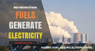 Fossil Fuels' Role: What Fraction Powers Global Electricity Generation?