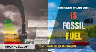 Fossil Fuels Dominance: Analyzing Their Share in Global Energy Consumption