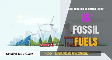 Fossil Fuels Dominance: Understanding Their Share in Human Energy Consumption