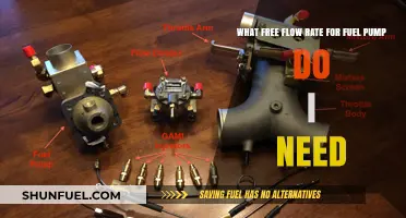 Choosing the Right Free Flow Rate for Your Fuel Pump