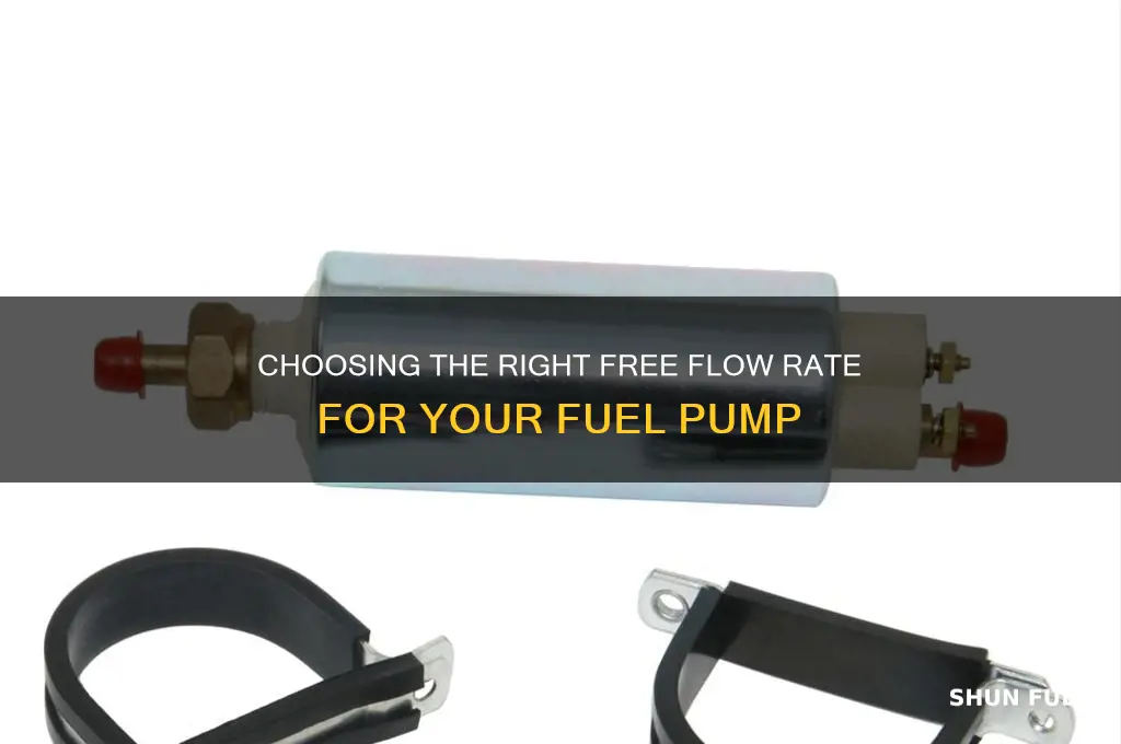 what free flow rate for fuel pump do i need
