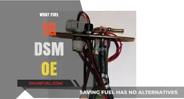 Understanding the Original Equipment Fuel Requirements for 1G DSM Models