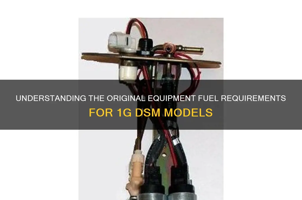 what fuel 1g dsm oe