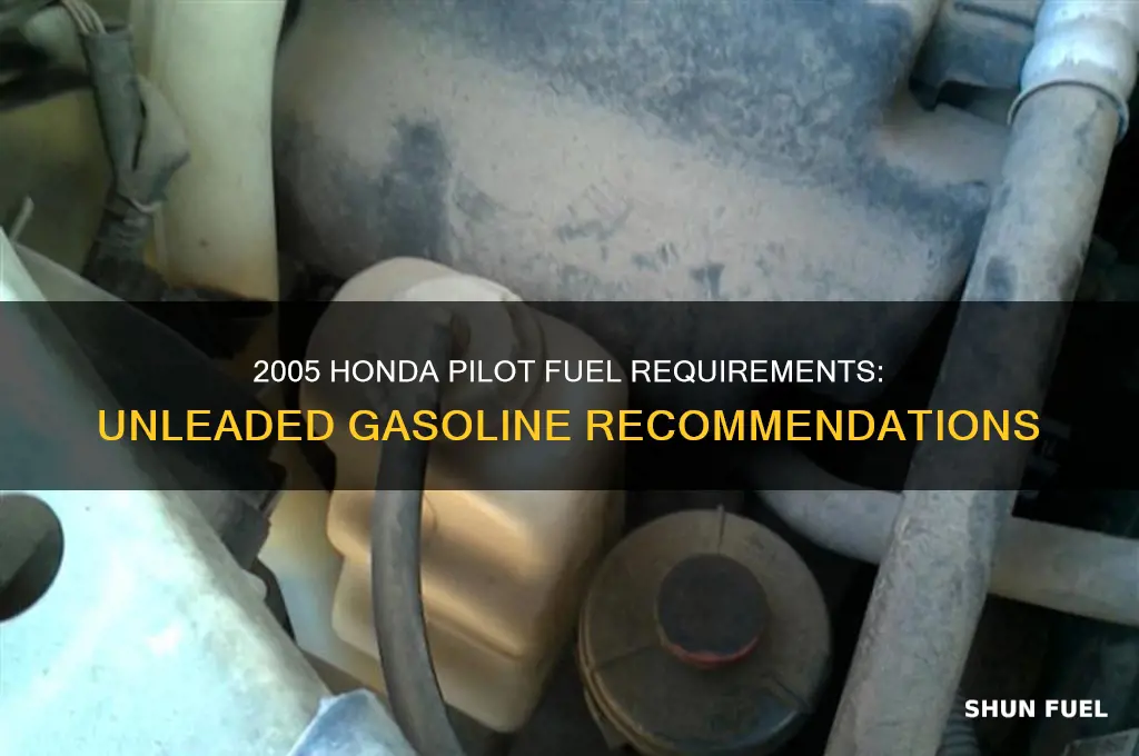 what fuel 2005 pilot use