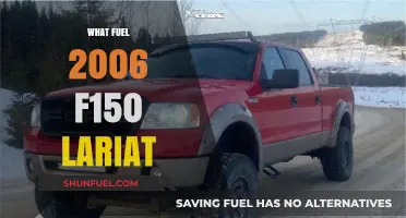 2006 Ford F150 Lariat Fuel Requirements and Recommendations