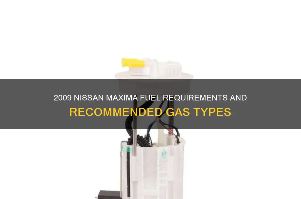 what fuel 2009 maxima