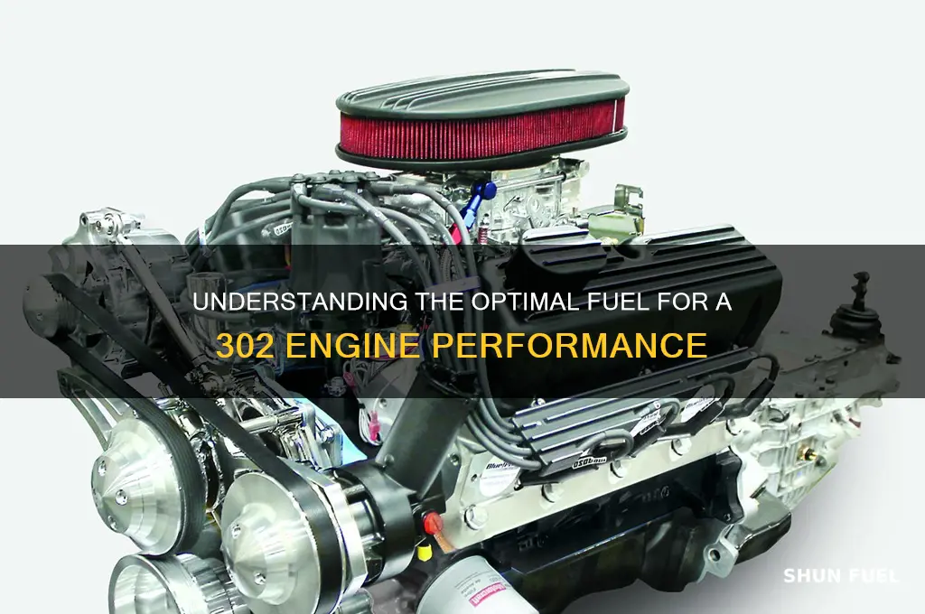 what fuel 302 engine
