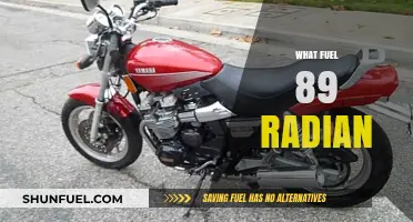 Understanding the Optimal Fuel for the 89 Radian Engine