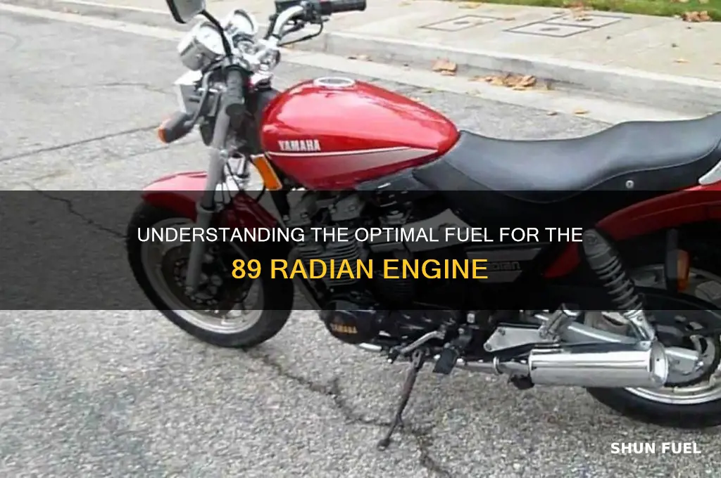 what fuel 89 radian