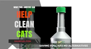 Effective Fuel Additives to Safely Clean Cats: A Comprehensive Guide