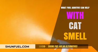 Eliminate Cat Smell: Best Fuel Additives for a Fresh Car Interior