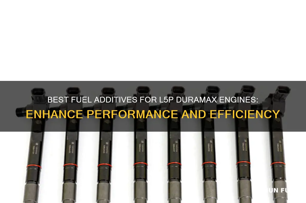 what fuel additives for l5p