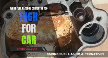 Alcohol in Fuel: When Does It Damage Your Car?